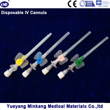 Medical Disposable IV Cannula/IV Catheter Butterfly Type